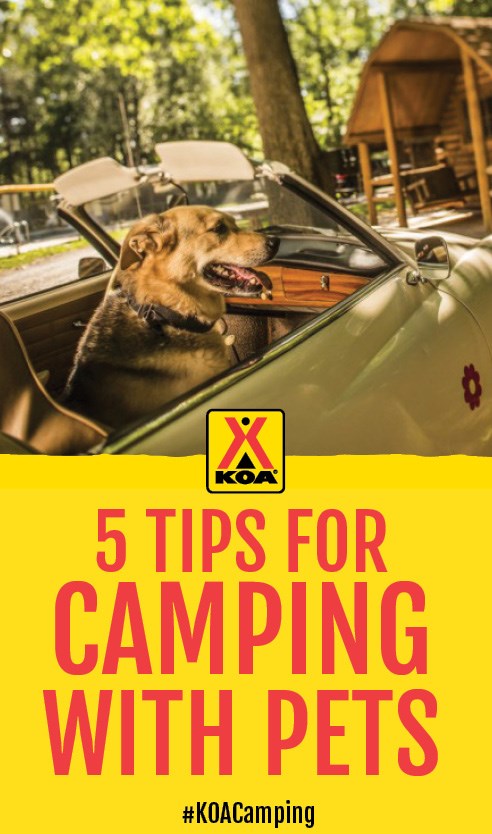 5 Tips for Camping with Pets #KOACamping