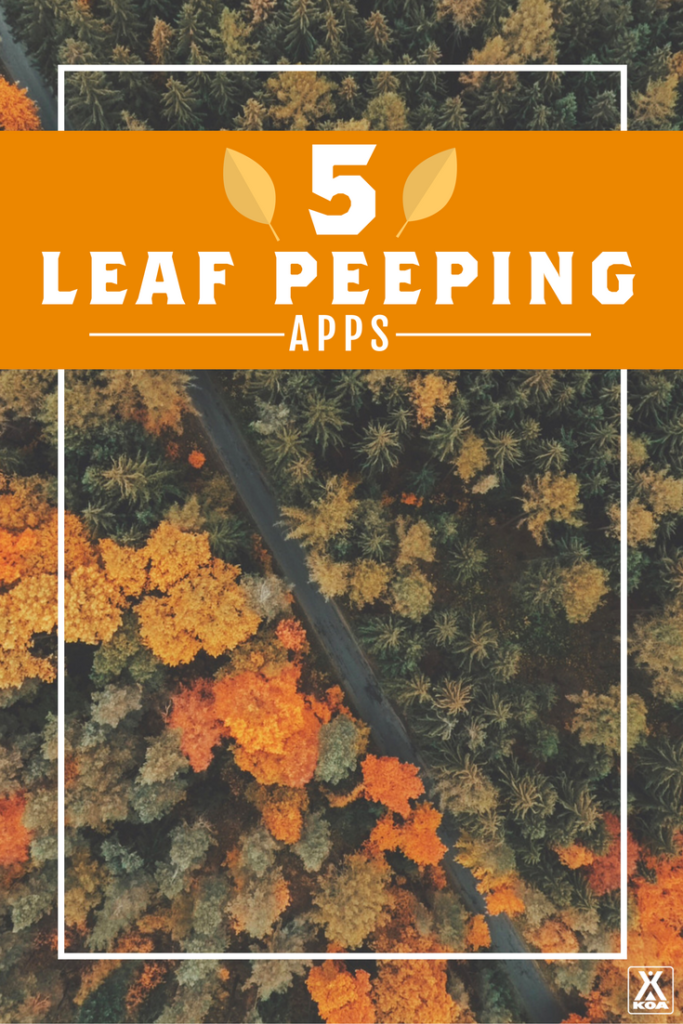 5 Leaf Peeping Apps - Download these apps to make the most of fall!