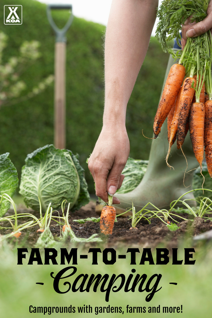 Campgrounds with Gardens bring Farm-To-Table to Camping