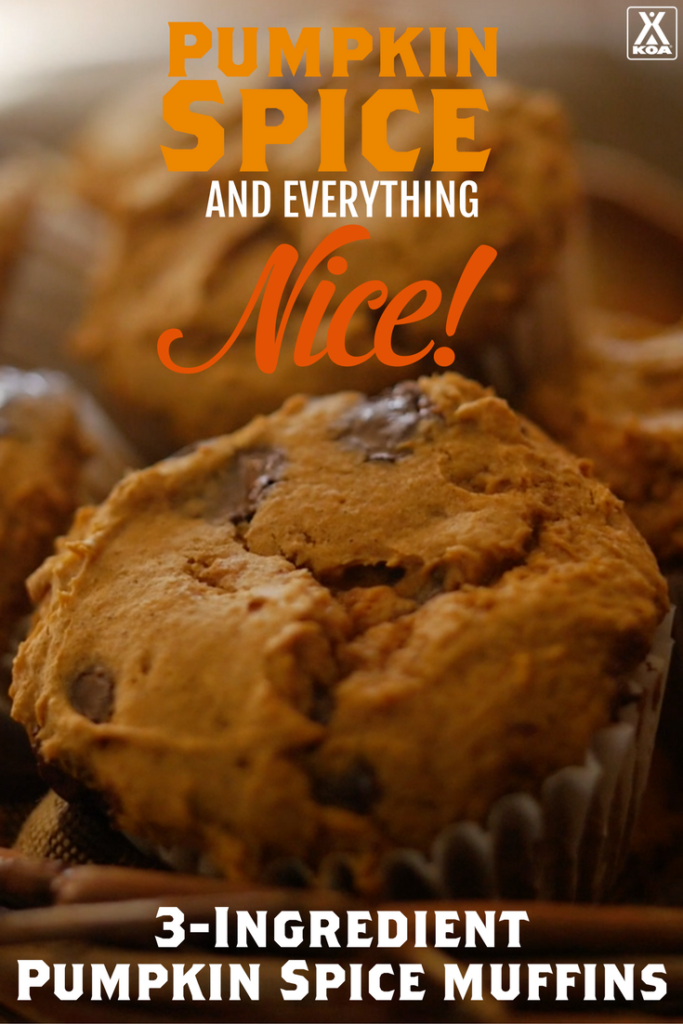 Learn to make pumpkin spice muffins with just three ingredients! - a #KOACamping recipe