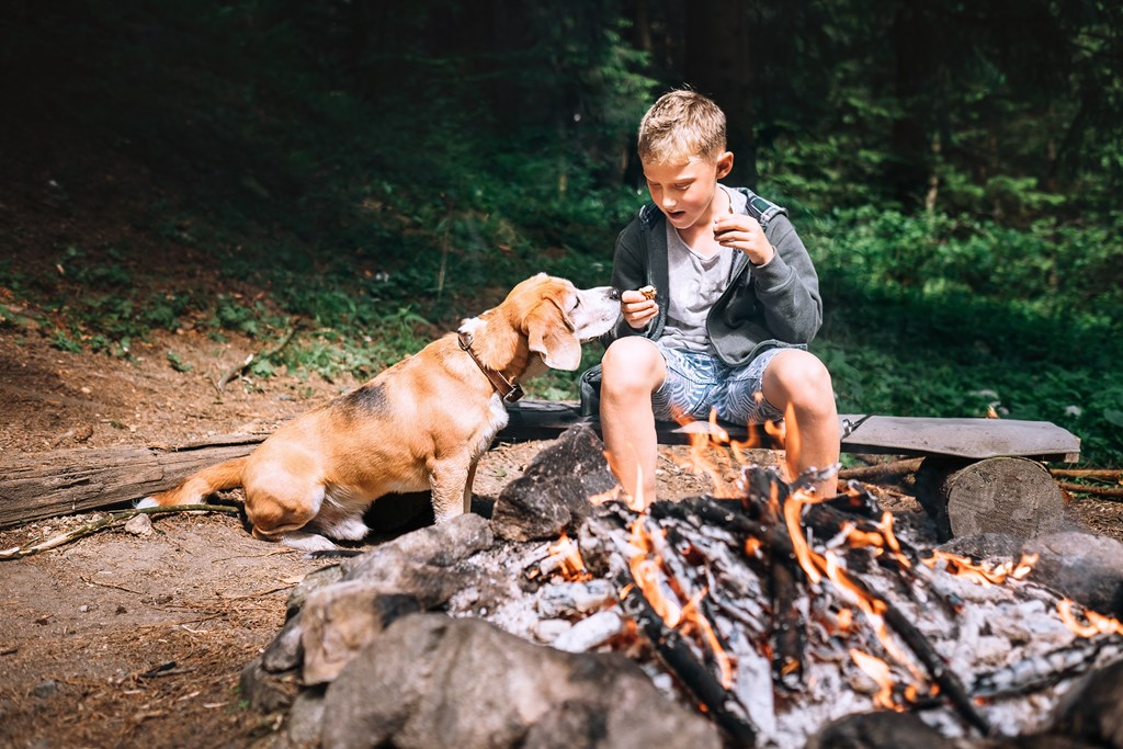 A young boy enjoys a snack by the campfire with his beagle.
