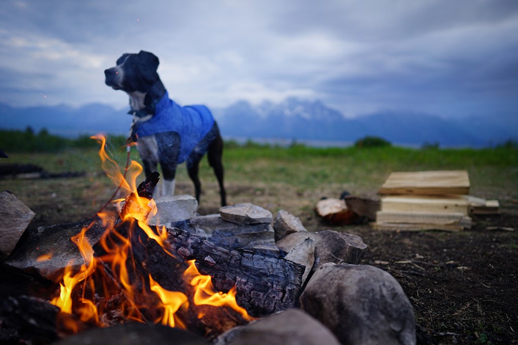 Dog in front of campfire in a field with mountains and clouds in the background.