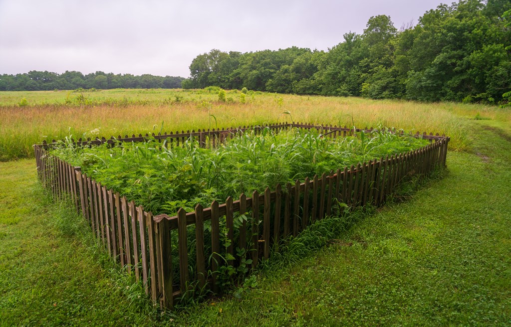 A small garden plot at George Washington Carver National Monument.