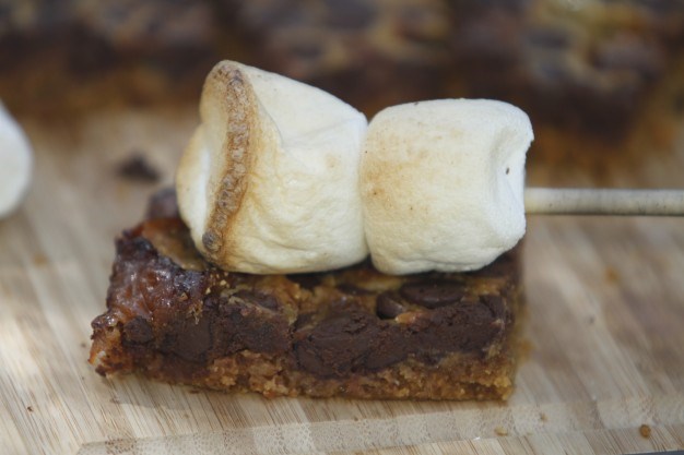 Make these s'mores at your campsite