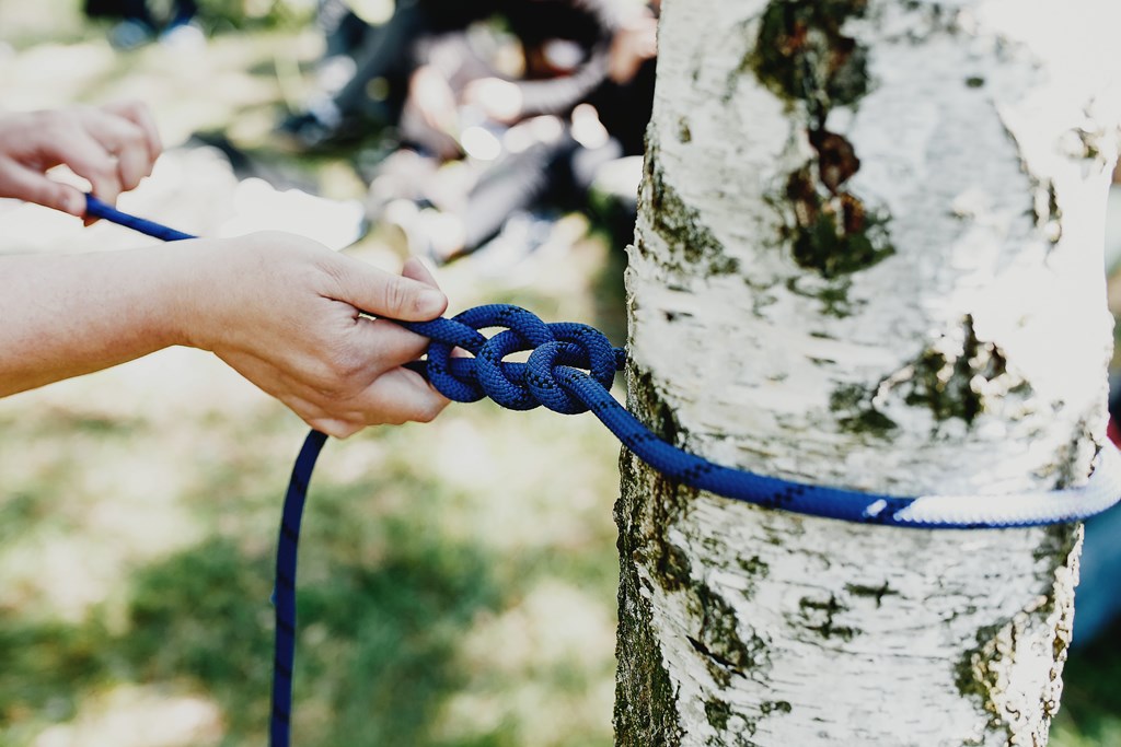 Woman tying a set of knots with blue line on an aspen tree.