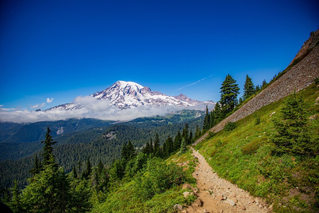 A rocky trail meanders on a steep slope with snow-covered Mount Rainer in the background.